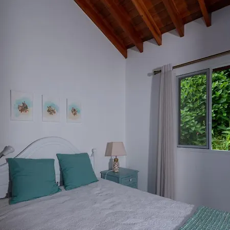 Holiday home Casa Da Ribeira Dos Moinhos Ribeira Grande